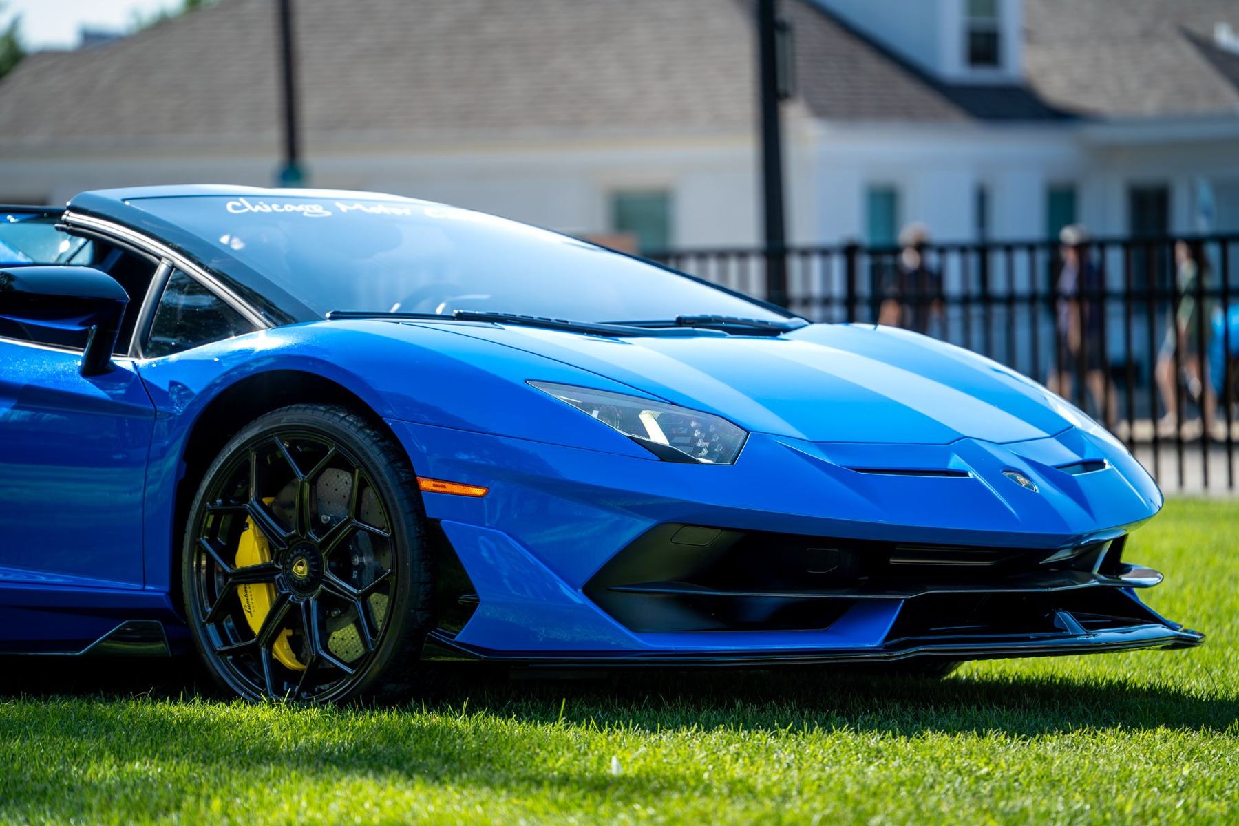Blue Lamborghini Aventador SVJ parked on grass